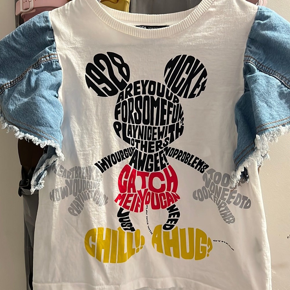 Zara Disney shirt
